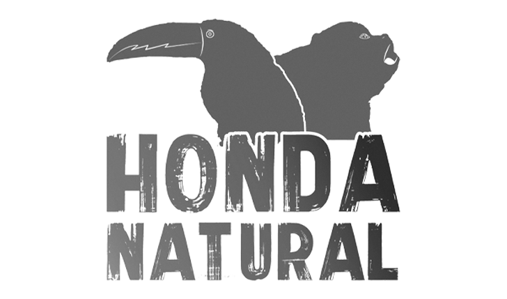 Honda Natural