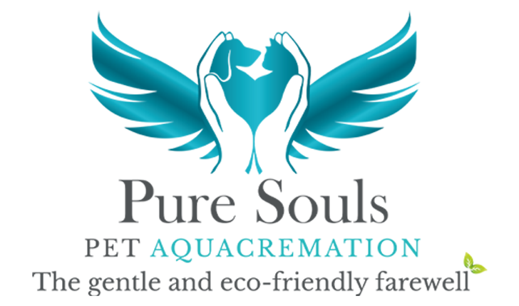 Pure Souls