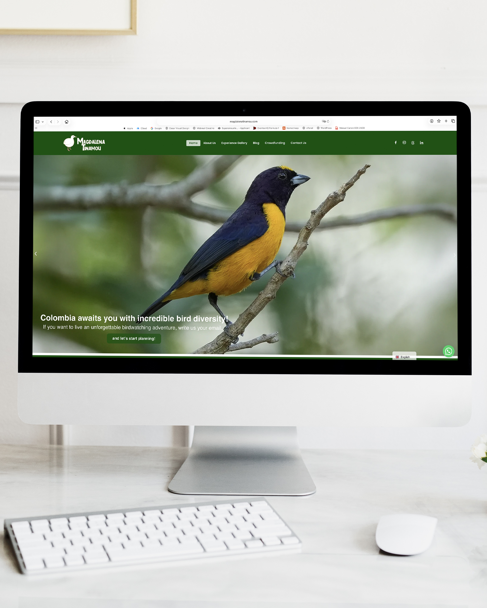 Website project by César Visual Design